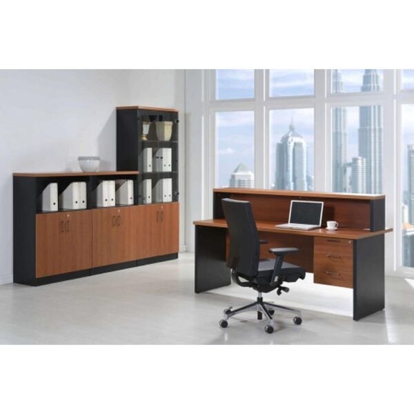 Reception Counter #20