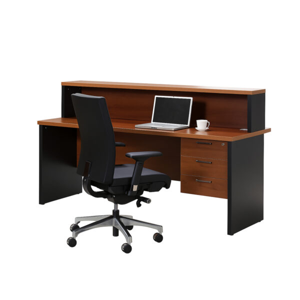 Compact Reception Desk #20