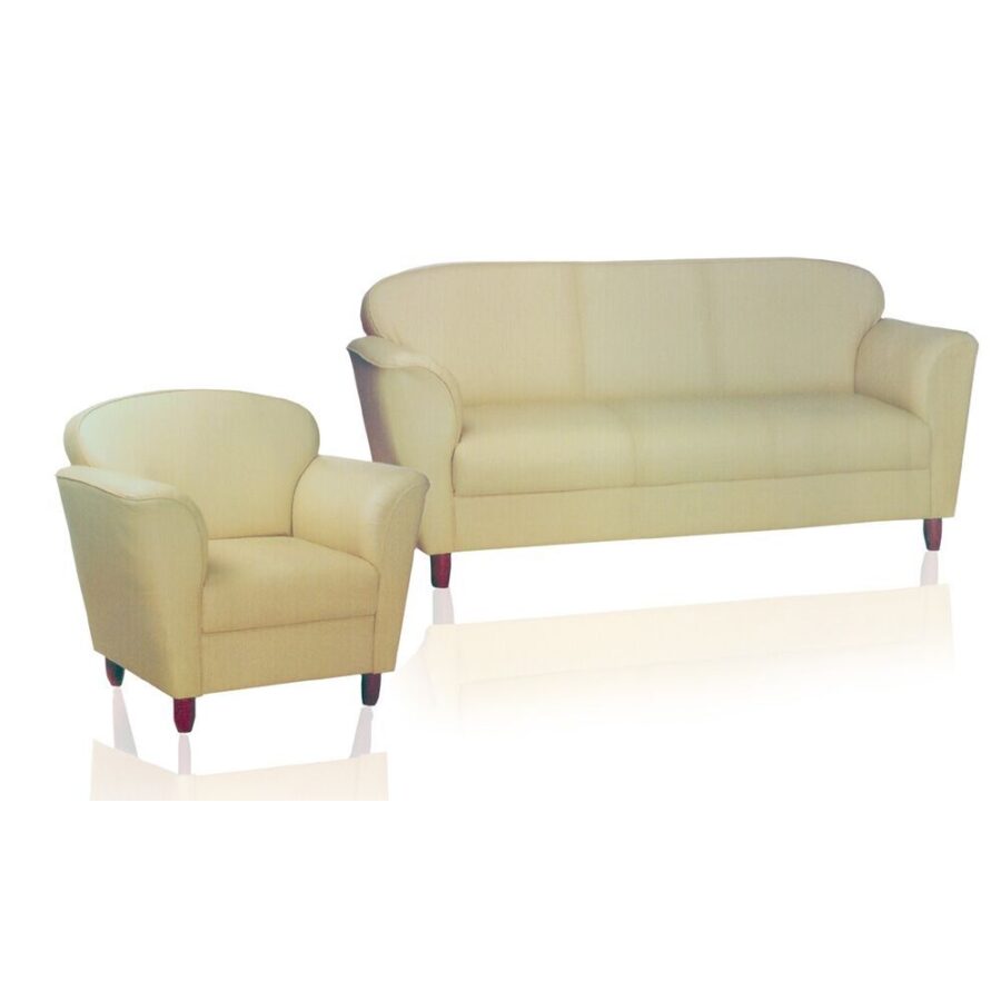 Sofa #19