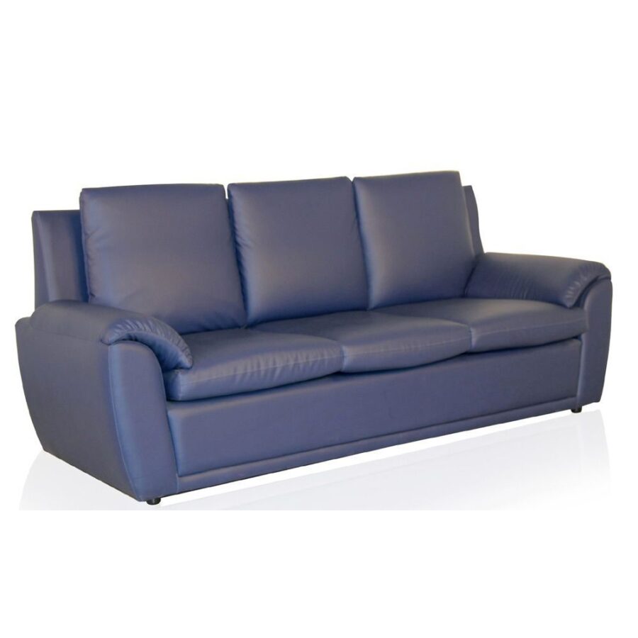 Sofa #24