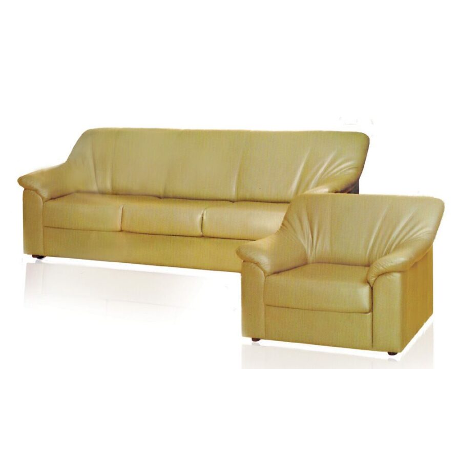 Sofa #39