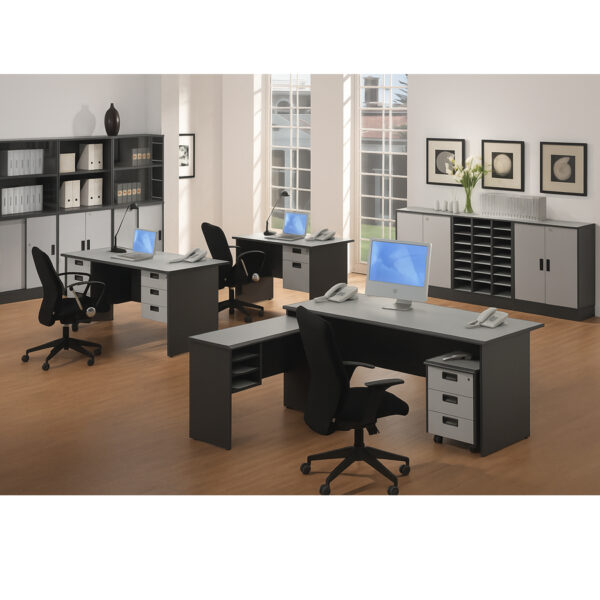 Modern Executive Office Workstation #55