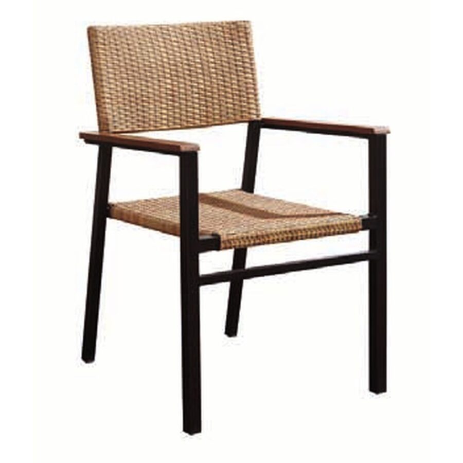 Outdoor Furniture #100