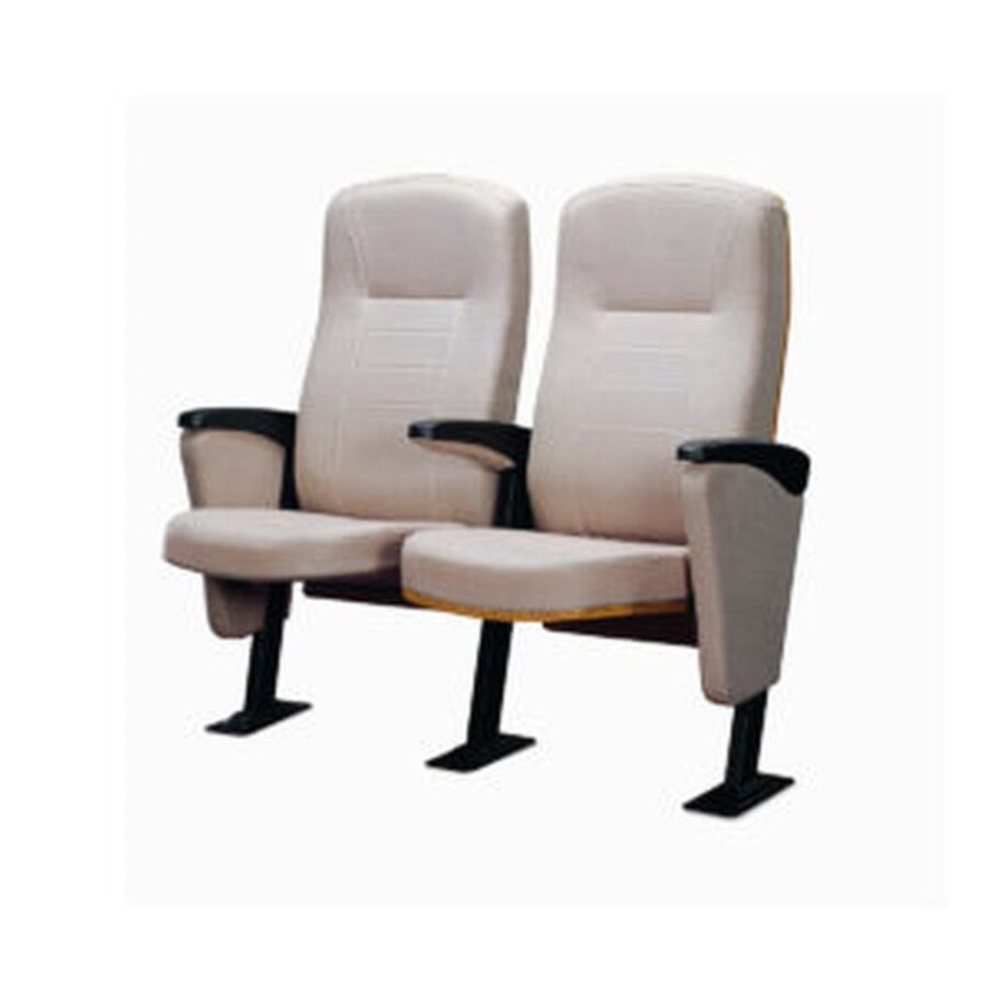 Auditorium Seating #11