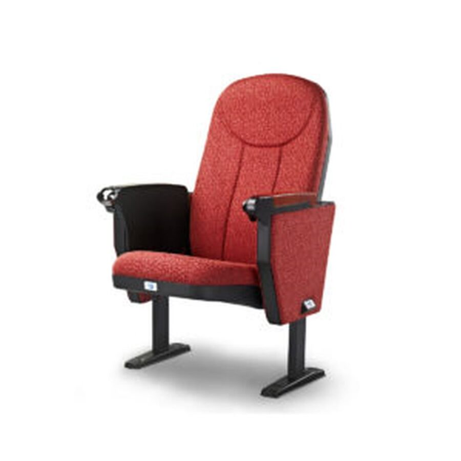 Auditorium Seating #19