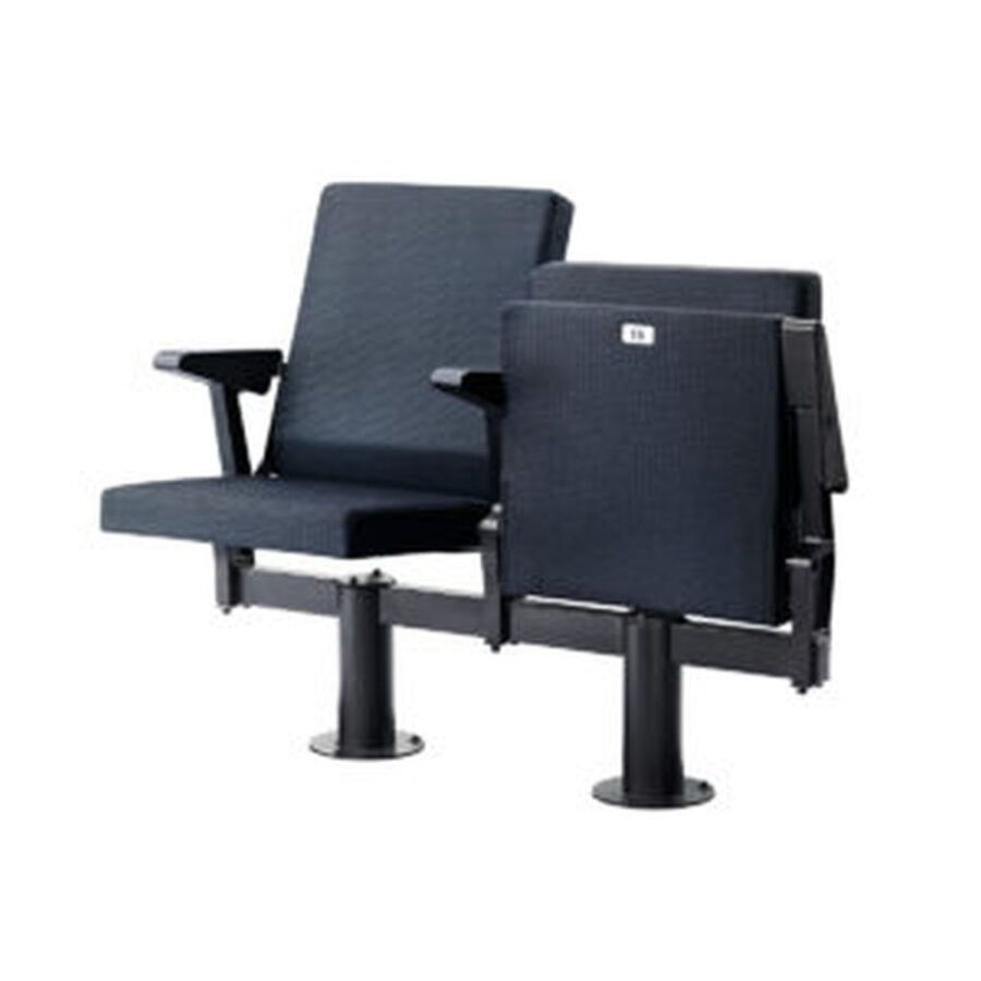 Auditorium Seating #21