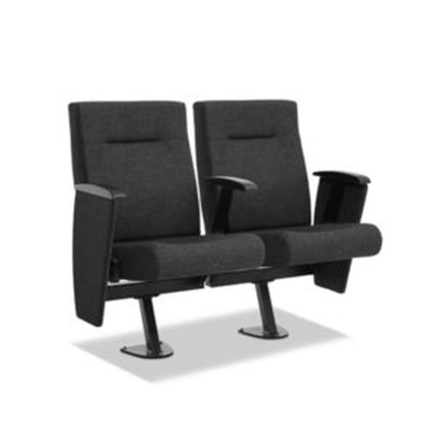 Auditorium Seating #29