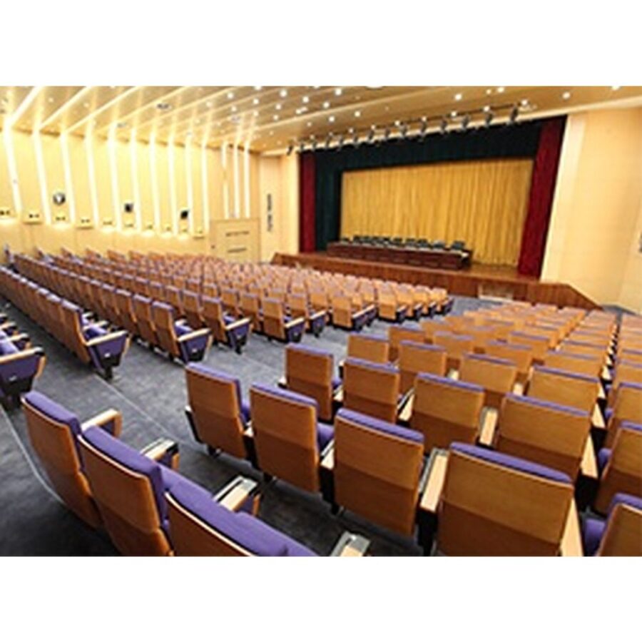 Auditorium Seating #30