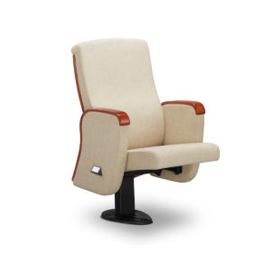 Auditorium Seating #34