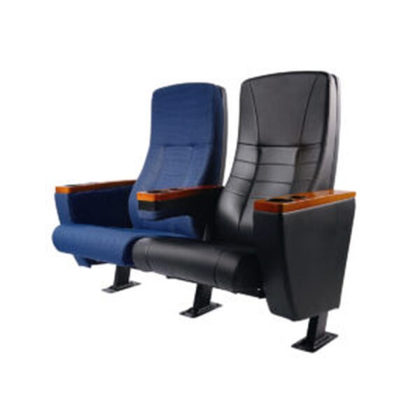 Auditorium Seating #35