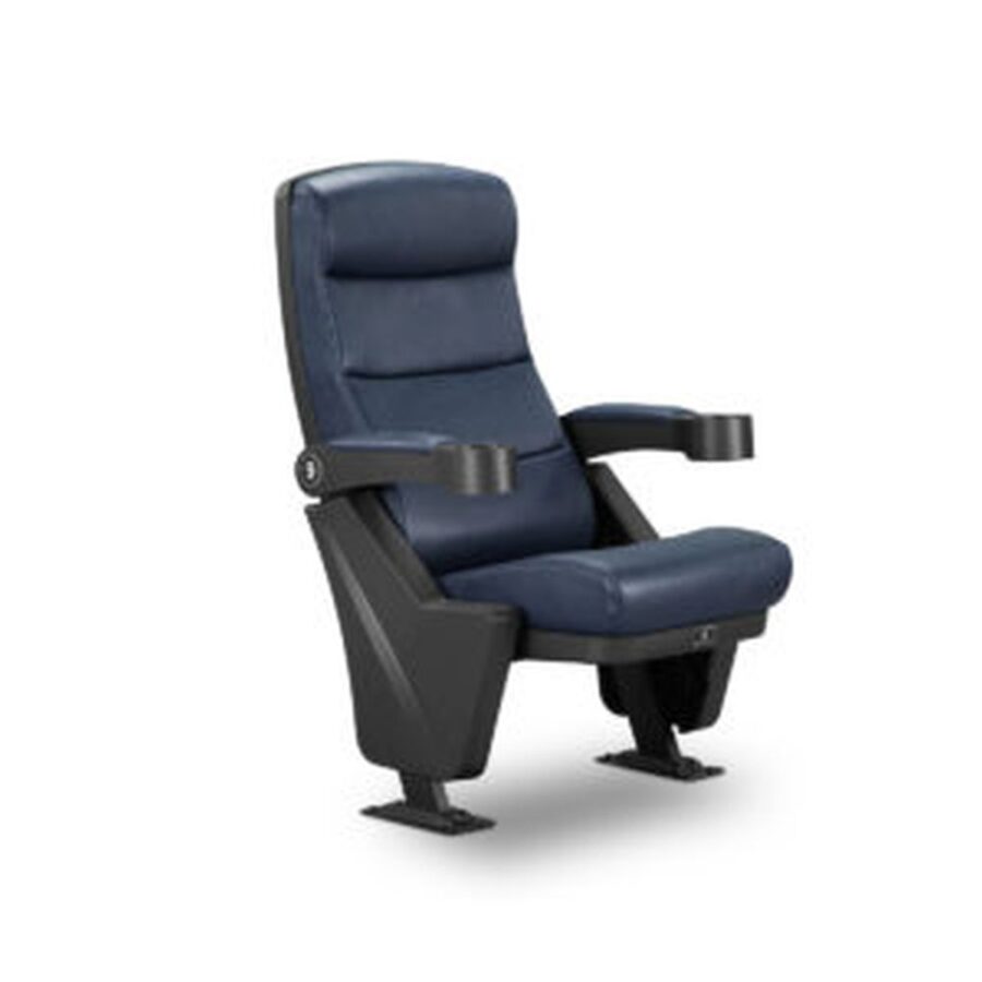 Auditorium Seating #50
