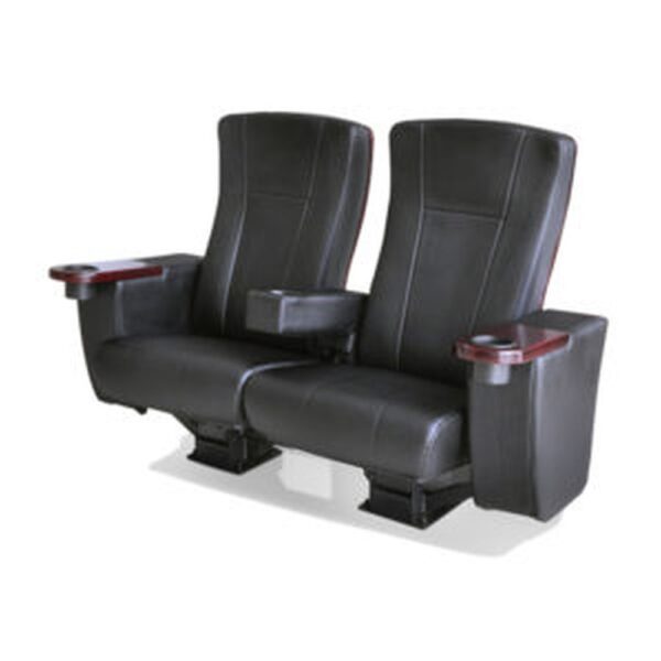 Auditorium Seating #71