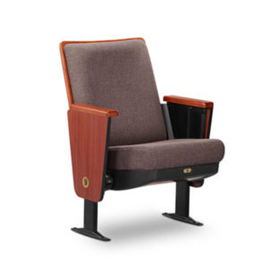 Auditorium Seating #73