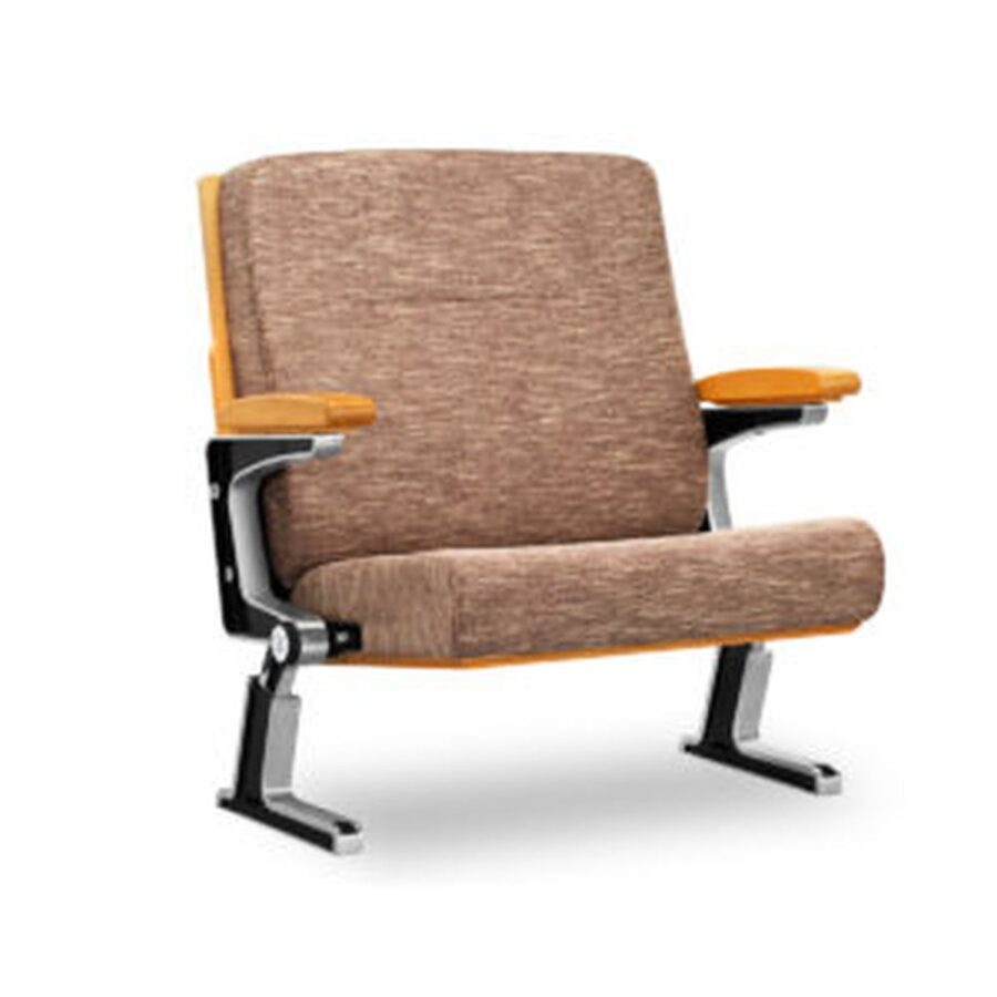 Auditorium Seating #77