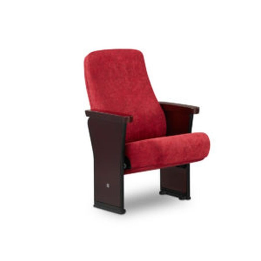 Auditorium Seating #8
