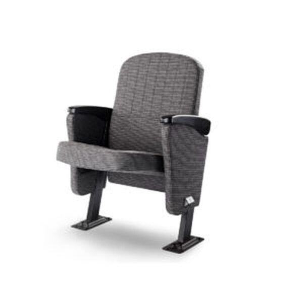 Auditorium Seating #9