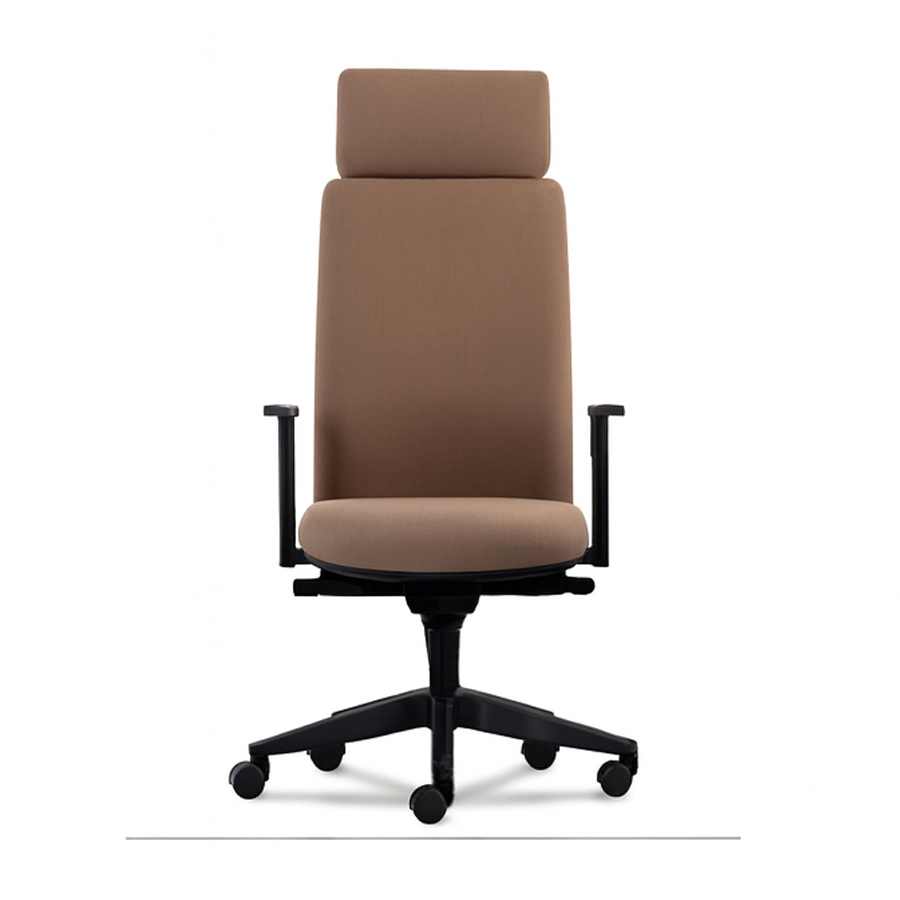Executive Office Chair #31