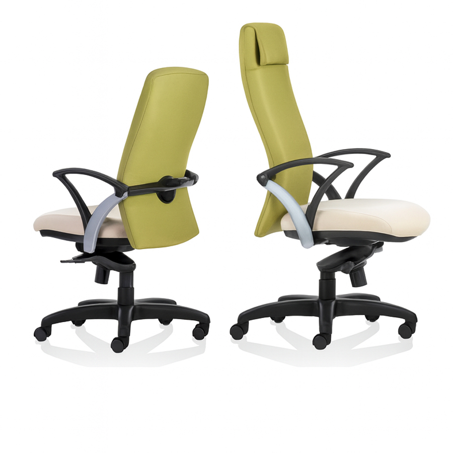 Executive Dual-Tone Chair #10