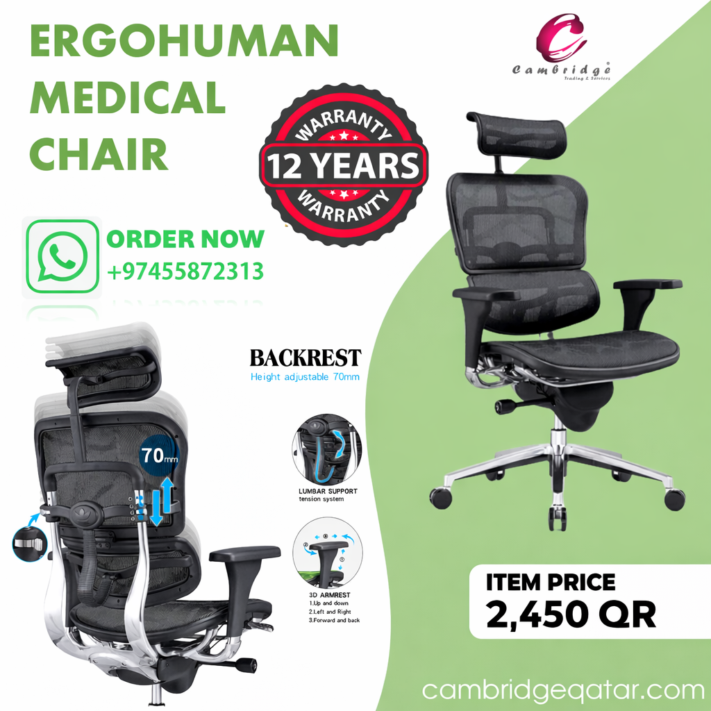 Ergohuman Medical Chair with adjustable headrest, lumbar support, mesh back and aluminum base